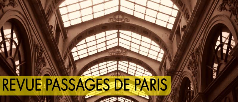 Teto de vidro ensolarado em uma passagem de paris